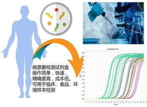 中国科大先研院与卓源健康共建人体微生物组研究联合实验室，聚焦前沿技术开发