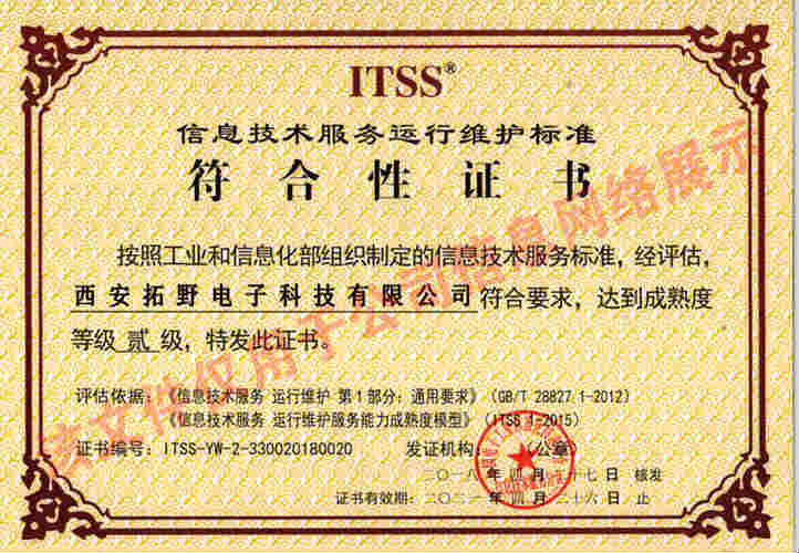 信息技术服务运维（贰级）中的技术开发 支撑与创新的双轮驱动